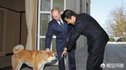 1月20日,安倍前往莫斯科,继续向普京要岛,是不是又是自寻烦恼之旅?