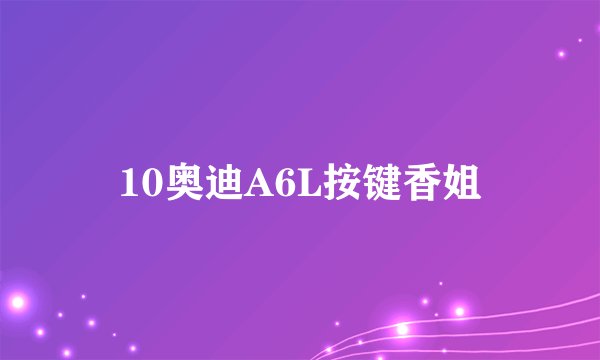 10奥迪A6L按键香姐