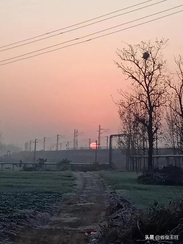 你们有过笔友吗?最后和笔友结果怎么样?