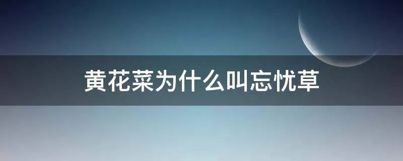 黄花菜为什么叫忘忧草