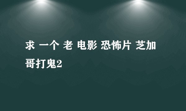 求 一个 老 电影 恐怖片 芝加哥打鬼2