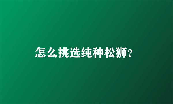 怎么挑选纯种松狮？