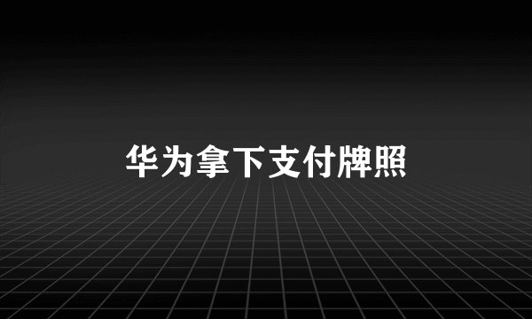 华为拿下支付牌照