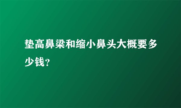 垫高鼻梁和缩小鼻头大概要多少钱？