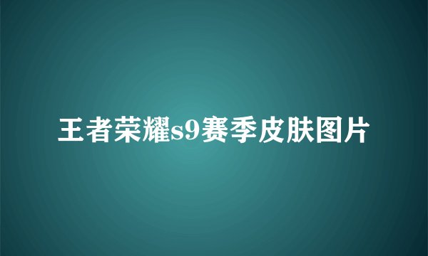 王者荣耀s9赛季皮肤图片