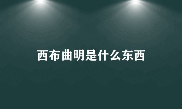 西布曲明是什么东西
