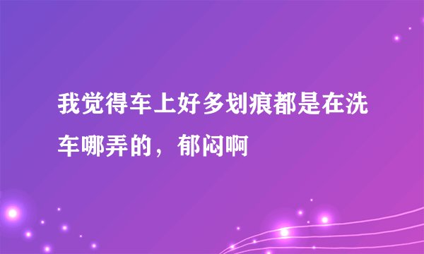 我觉得车上好多划痕都是在洗车哪弄的,郁闷啊
