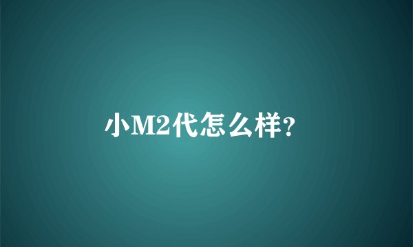 小M2代怎么样？