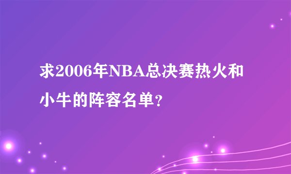 求2006年NBA总决赛热火和小牛的阵容名单？