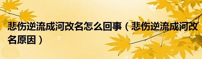 悲伤逆流成河改名怎么回事（悲伤逆流成河改名原因）
