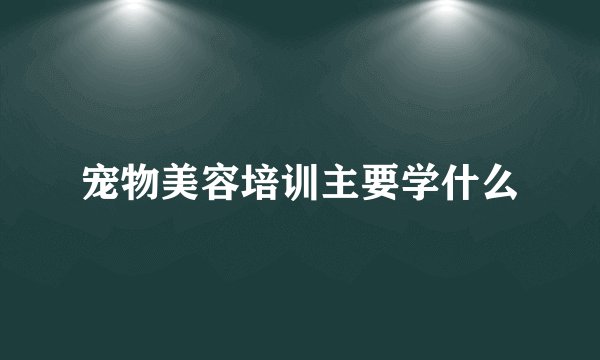 宠物美容培训主要学什么