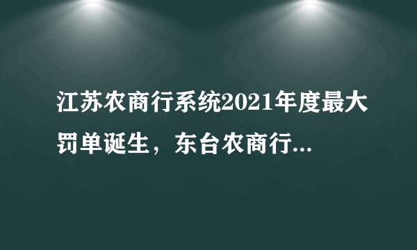 江苏农商行系统2021年度最大罚单诞生，东台农商行被罚140万