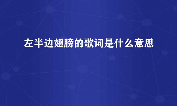 左半边翅膀的歌词是什么意思