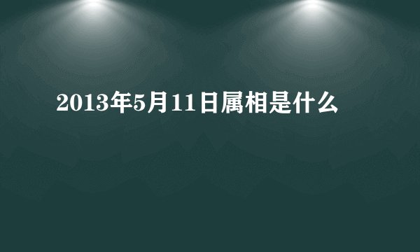 2013年5月11日属相是什么