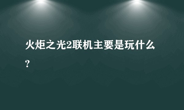 火炬之光2联机主要是玩什么？