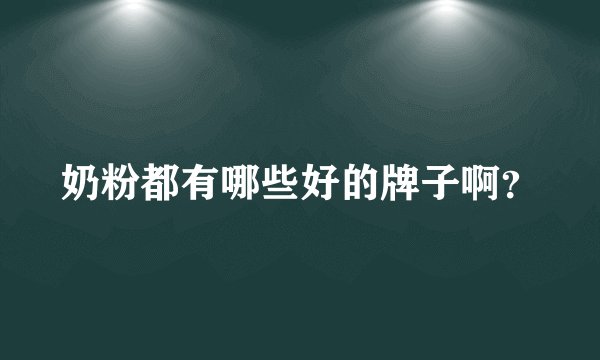 奶粉都有哪些好的牌子啊？