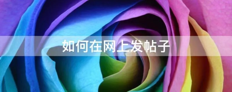 如何在网上发帖子