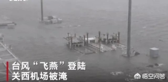 如何看待新的台风“潭美”?