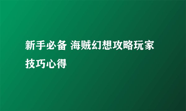 新手必备 海贼幻想攻略玩家技巧心得