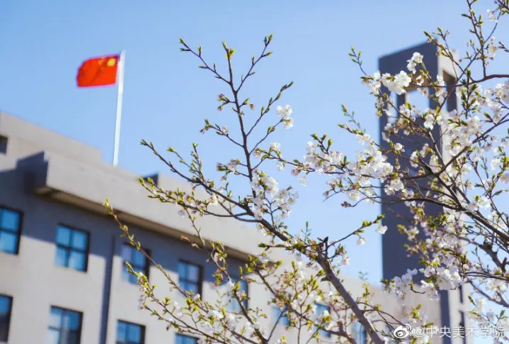 中央美术学院