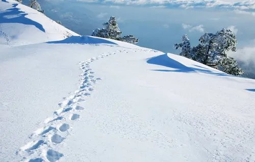 60岁老太醉倒雪地冻僵无人搀扶 民警雪中送炭化险为夷!