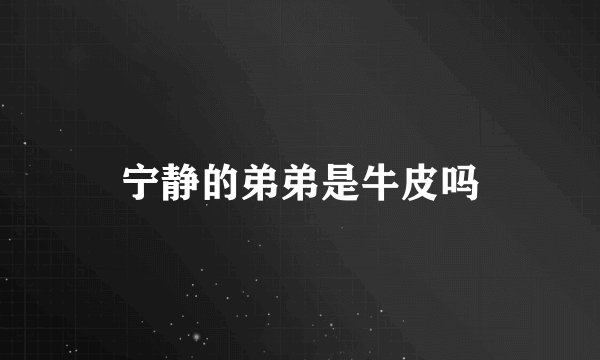 宁静的弟弟是牛皮吗