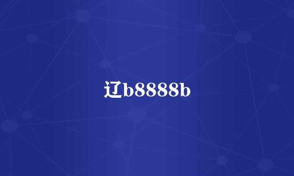 辽b8888b