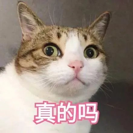 如何看待《变形计之平行世界》?