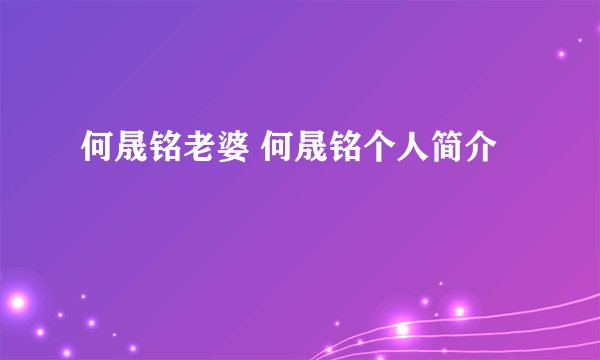 何晟铭老婆 何晟铭个人简介