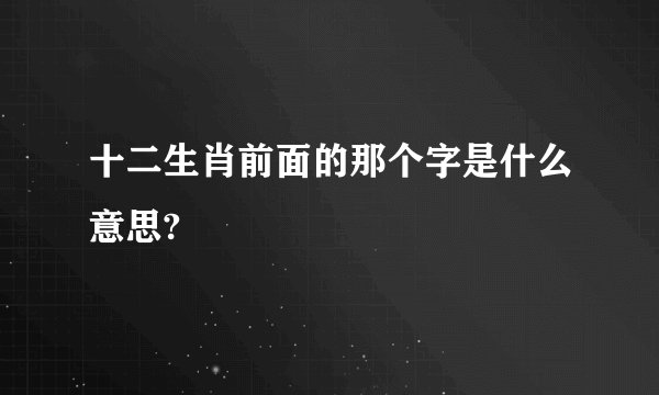 十二生肖前面的那个字是什么意思?
