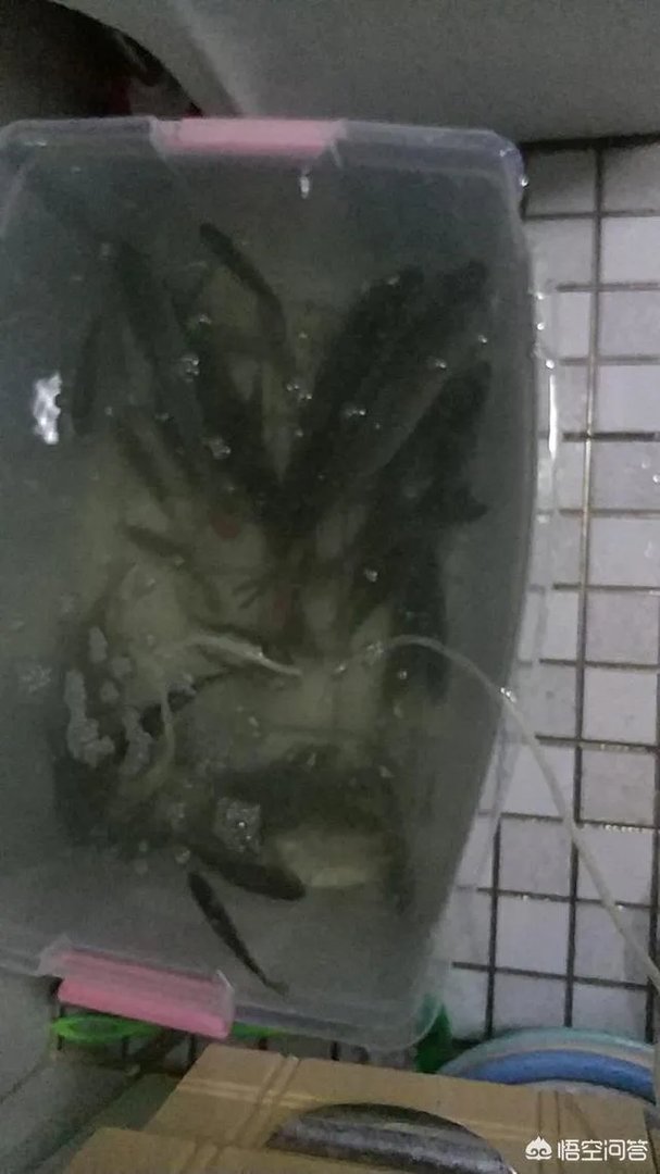 哪里有比较幽静的钓鱼的地方?