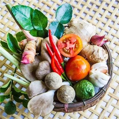 饮食养生与保健美容
