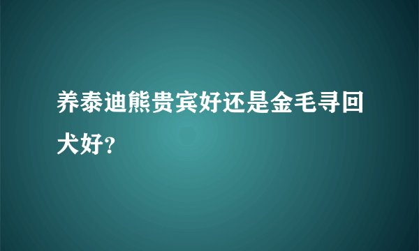 养泰迪熊贵宾好还是金毛寻回犬好？