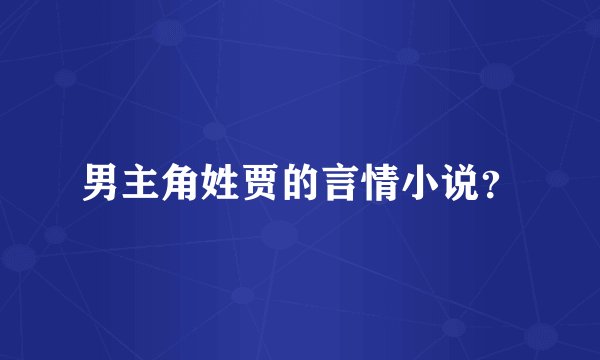 男主角姓贾的言情小说？