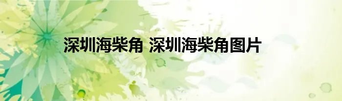 深圳海柴角 深圳海柴角图片