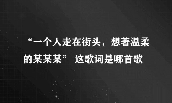 “一个人走在街头，想著温柔的某某某” 这歌词是哪首歌