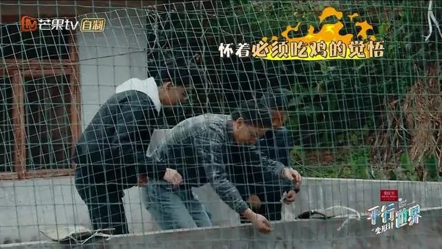 如何看待《变形计之平行世界》?