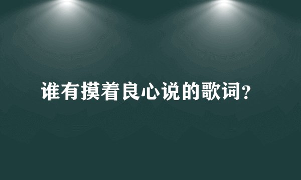 谁有摸着良心说的歌词？