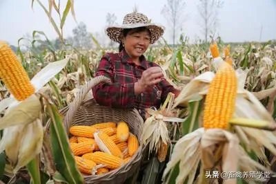 受疫情影响,已有国家禁止出口粮食,你怎么看?