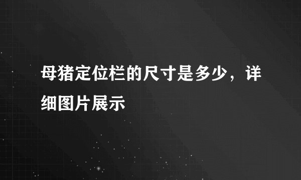 母猪定位栏的尺寸是多少，详细图片展示