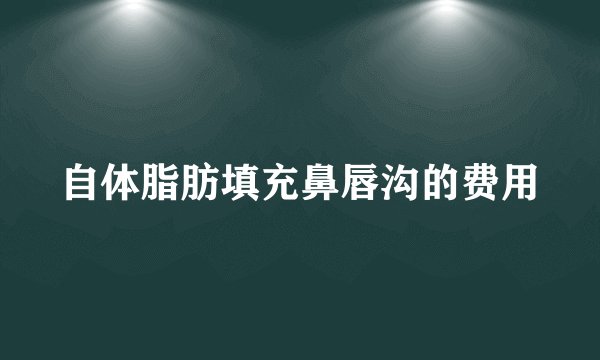 自体脂肪填充鼻唇沟的费用
