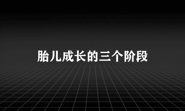 胎儿成长的三个阶段