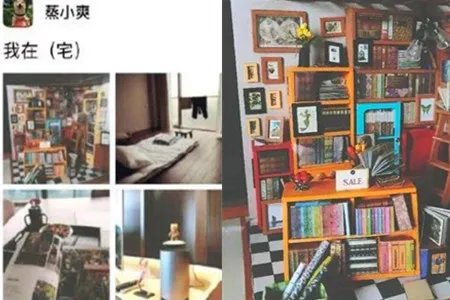 郑爽新房照片曝光简单文艺 网友直呼爽妹子原来是文艺青年