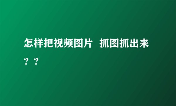怎样把视频图片  抓图抓出来？？