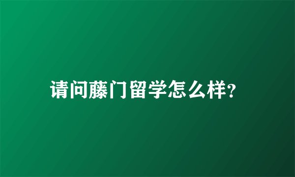 请问藤门留学怎么样？