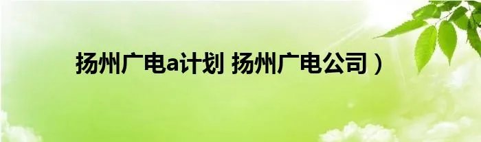 扬州广电a计划 扬州广电公司）