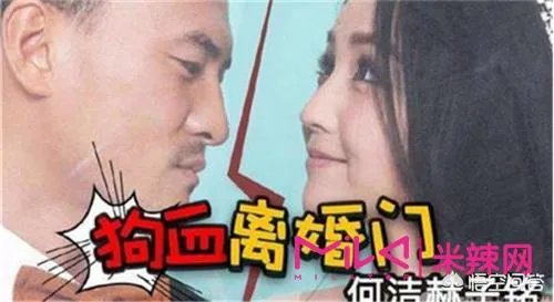 怎么评价何洁离婚事件?