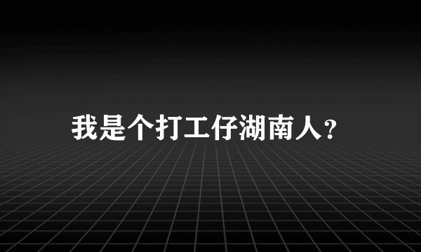我是个打工仔湖南人？