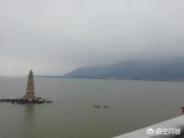 漳州市漳浦县沙西镇为什么被称为中国榕树盆景之乡?