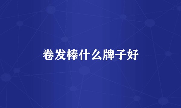 卷发棒什么牌子好